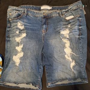 Torrid, size 24 pre distressed jean shorts